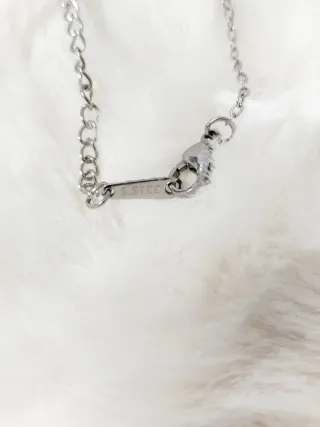 Colgante mujer acero letra A trébol brillante