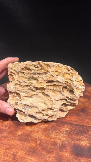 SUISEKI PRECIOSO PARA EXPOSICION