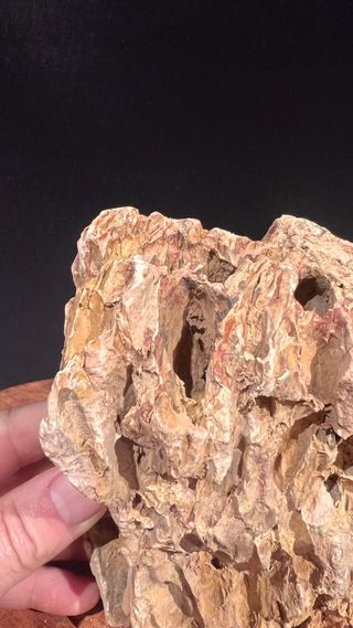 SUISEKI PRECIOSO PARA EXPOSICION