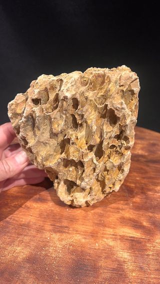 SUISEKI PRECIOSO PARA EXPOSICION