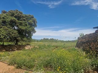 Terreno en venta en Valls