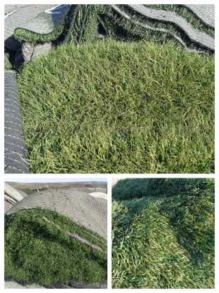 Venta de césped artificial