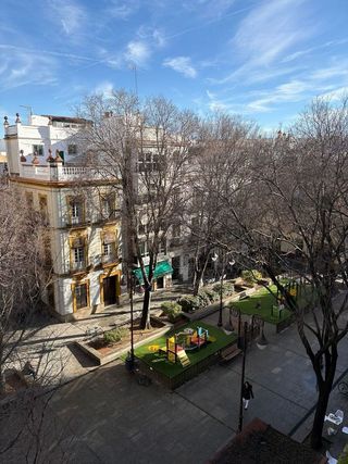 Piso en alquiler en Alfalfa en Sevilla