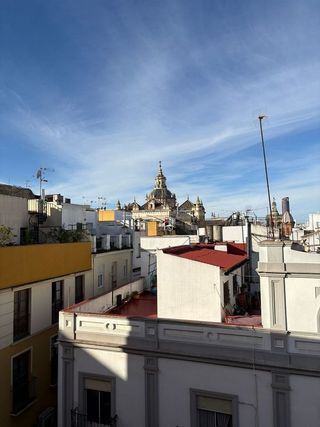 Piso en alquiler en Alfalfa en Sevilla
