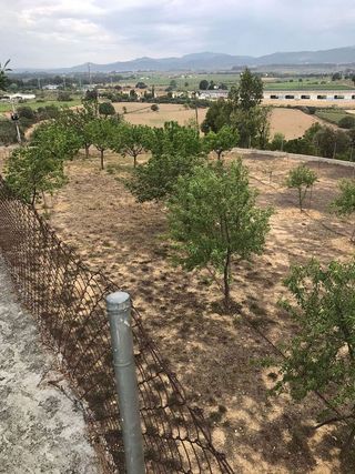 Casa rural en venta en Arboç, l´