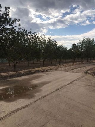 Casa rural en venta en Arboç, l´