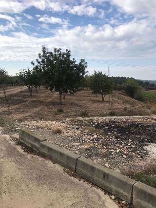 Casa rural en venta en Arboç, l´