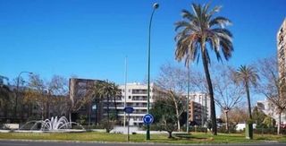 Piso en alquiler en Nervión en Sevilla