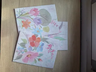 Lote carpetillas cartas perfumadas