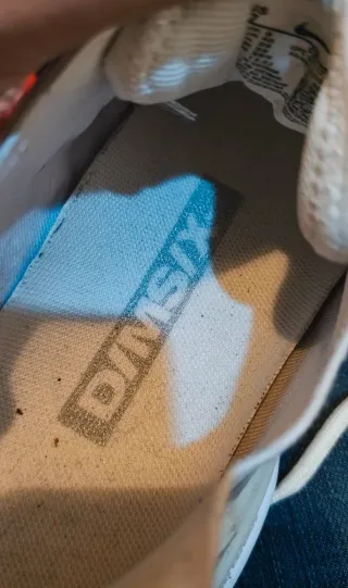 Zapatillas Nike Mujer Gris y Blanco DMSX