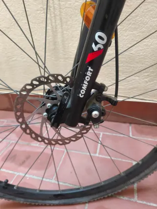 Bicicleta Riberside 500 XL Gris