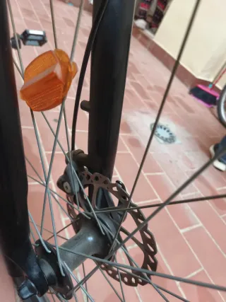 Bicicleta Riberside 500 XL Gris