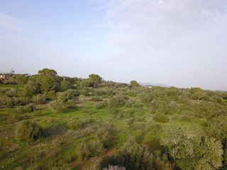 Terreno en venta en Sant Llorenç des Cardassar