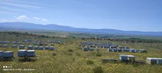 Material Apicultura: Colmenas, Alzas y Excluidor