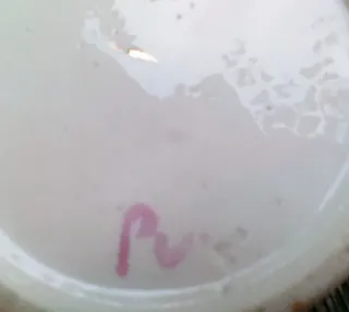 Peasant Village  PV ceramica anni '40