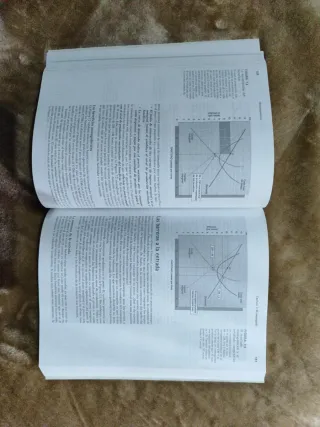 PRINCIPIOS DE ECONOMIA