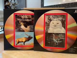 “El mundo de los animales y su medio ambiente”