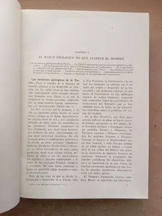 Manual de Historia Antigua. Prehistoria. Almagro.