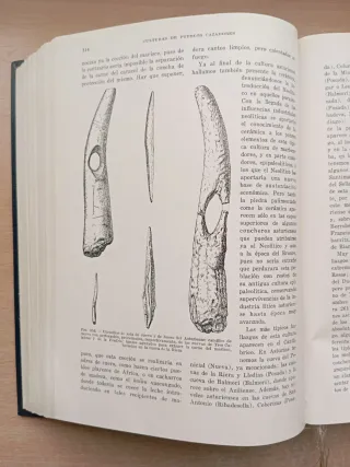 Manual de Historia Antigua. Prehistoria. Almagro.