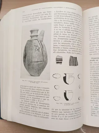 Manual de Historia Antigua. Prehistoria. Almagro.