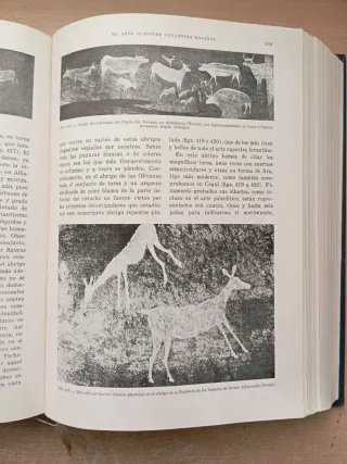 Manual de Historia Antigua. Prehistoria. Almagro.