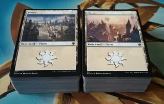 MAGIC - TIERRAS BÁSICAS 5