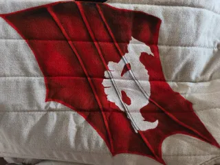 Chaleco esgrima medieval alas dragón pintado