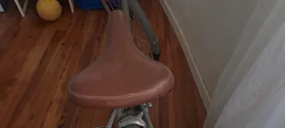 Bicicleta Bobbin Birdie Gris