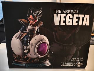 Figura Resina Vegeta