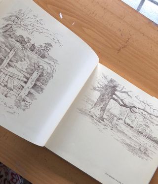 Beningfield's English Landscape