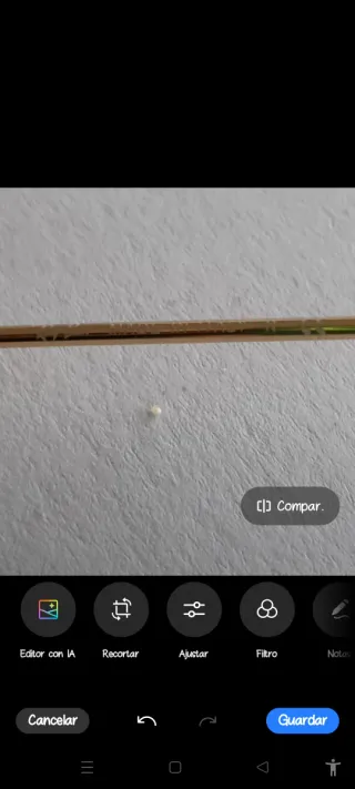 Gafas de sol Ray-Ban polarizadas Marrón/Dorado