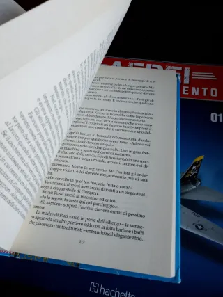 Vish puri e il caso della domestica scomparsa