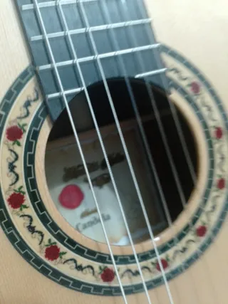 Guitarra Flamenca Autoamplificada