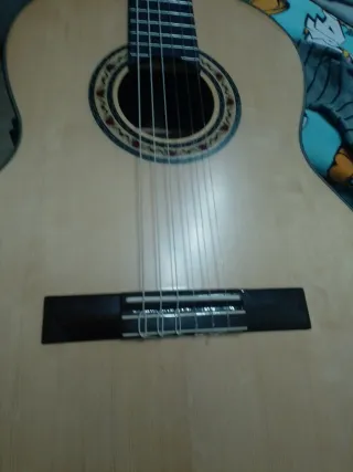 Guitarra Flamenca Autoamplificada