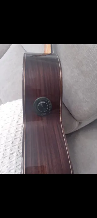 Guitarra Flamenca Autoamplificada