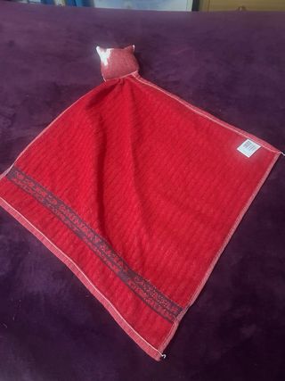 Trapo cocina gato rojo