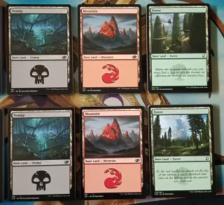 MAGIC - TIERRAS BÁSICAS 6