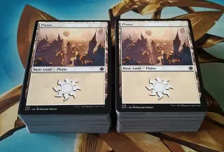 MAGIC - TIERRAS BÁSICAS 6