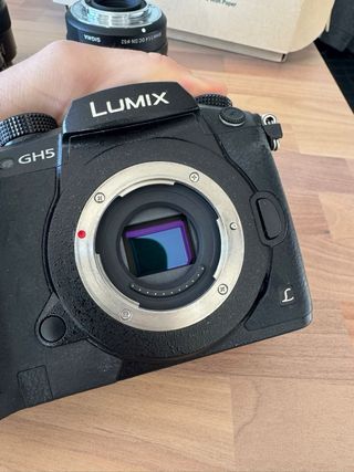 Cámara Panasonic GH5