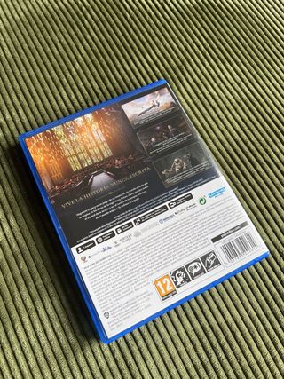 Hogwarts Legacy PS5