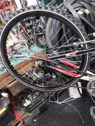 Bicicleta de montaña