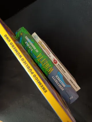 Lote YO-KAI WATCH & WIGETTA (manga y libros)