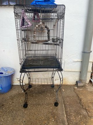 Jaula para loro o ninfa
