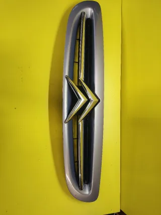 CALANDRA DELANTERA CITROEN XSARA II Violeta claro