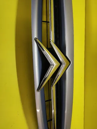 CALANDRA DELANTERA CITROEN XSARA II Violeta claro