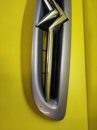 CALANDRA DELANTERA CITROEN XSARA II Violeta claro