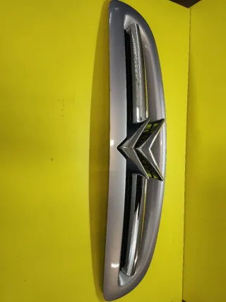 CALANDRA DELANTERA CITROEN XSARA II Violeta claro