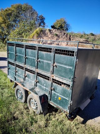 REMOLQUE  CARRO PARA  REHALA  DE PERROS