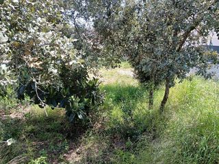 Terreno en venta en Sant Antoni de Vilamajor