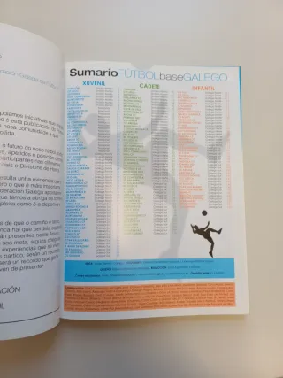 I Anuario Fútbol Base Galego temporada 2012-2013